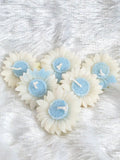 White Sunflowers