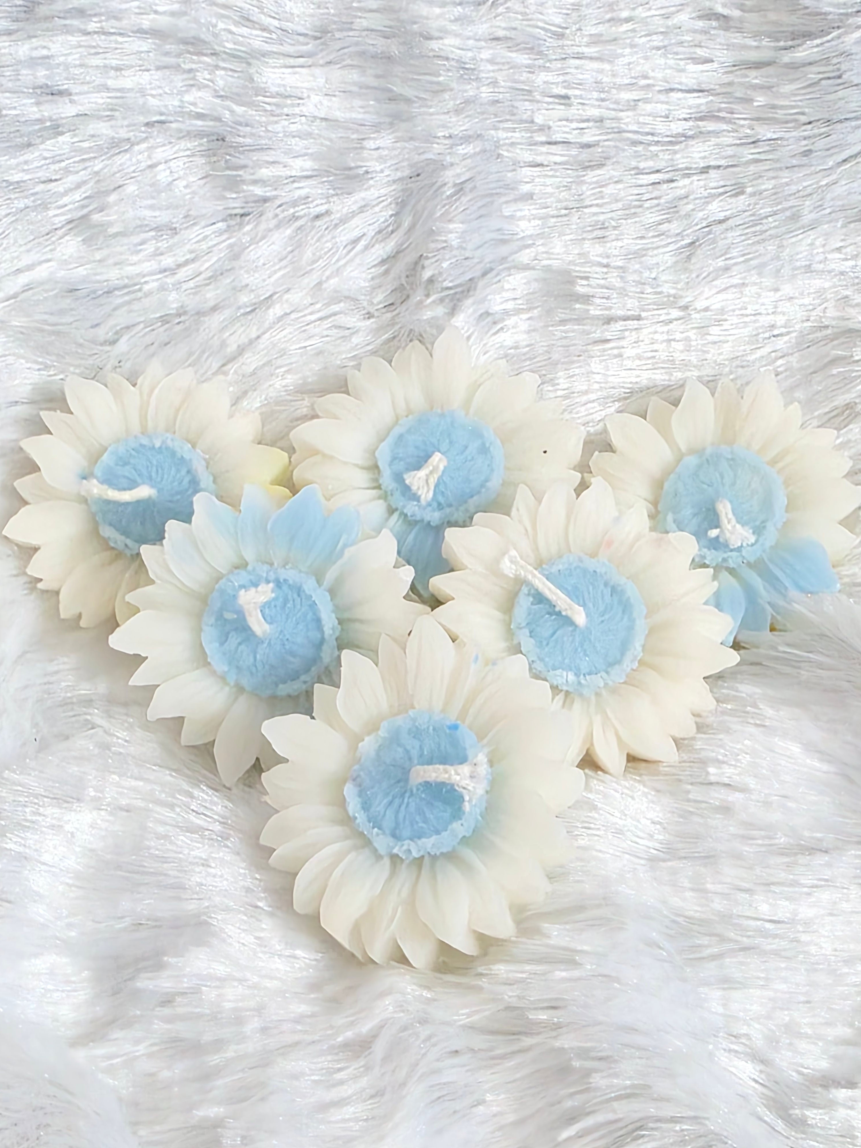 White Sunflowers