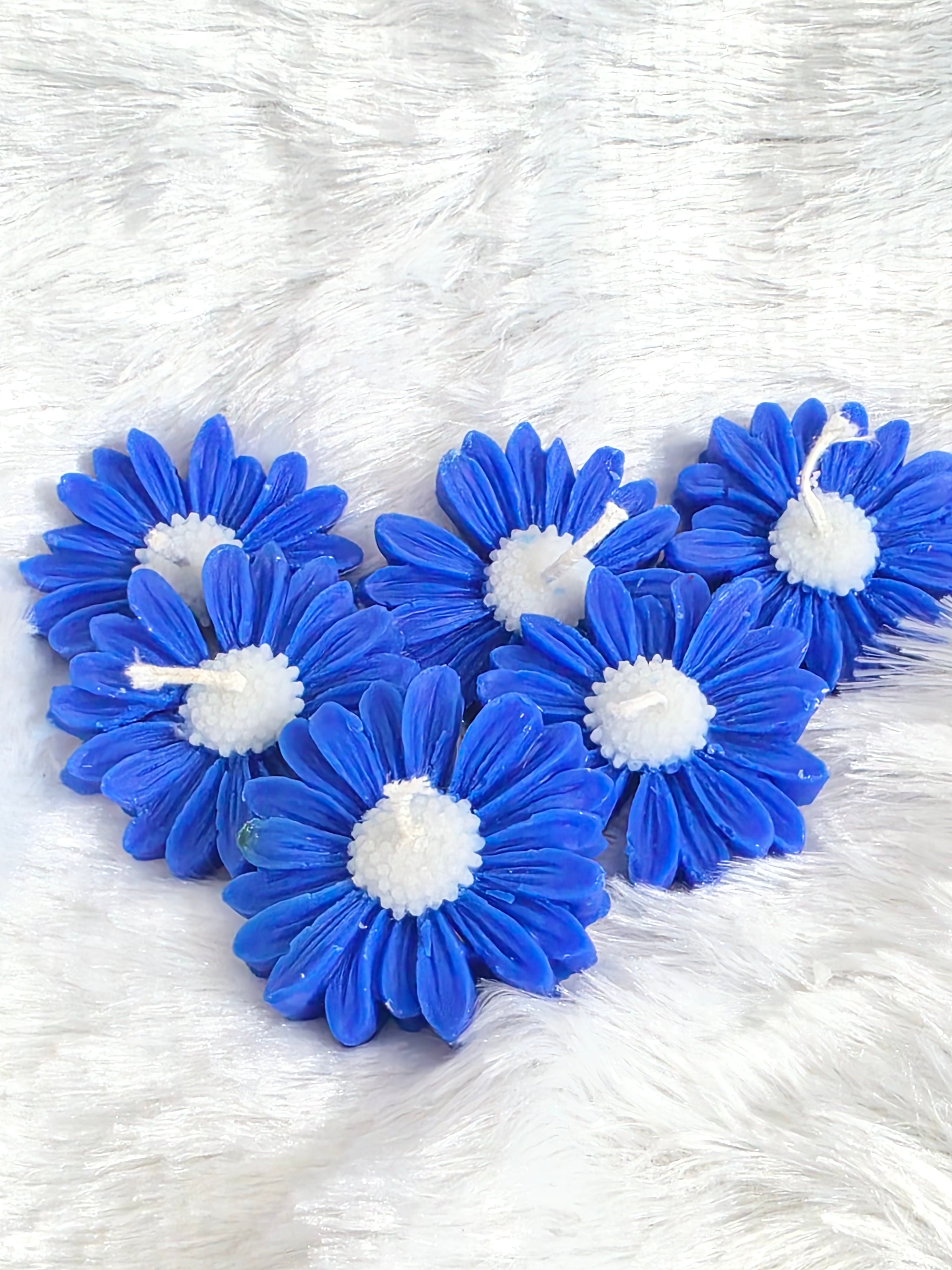 Blue Daisies