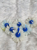 White Daisies Dark Blue Center