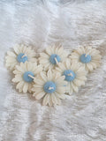 White Daisies Light Blue Center