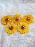 Yellow Daisies