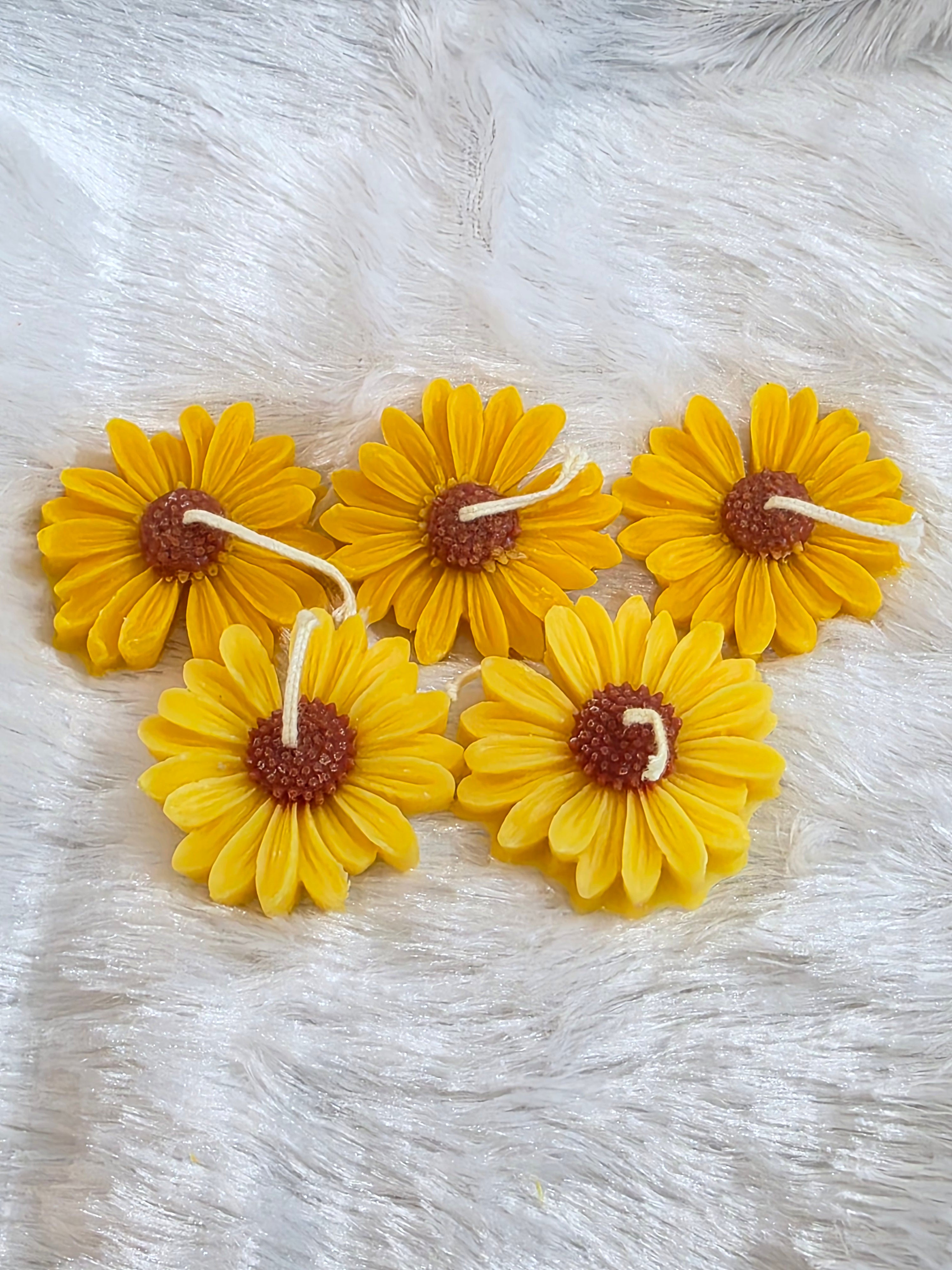 Yellow Daisies