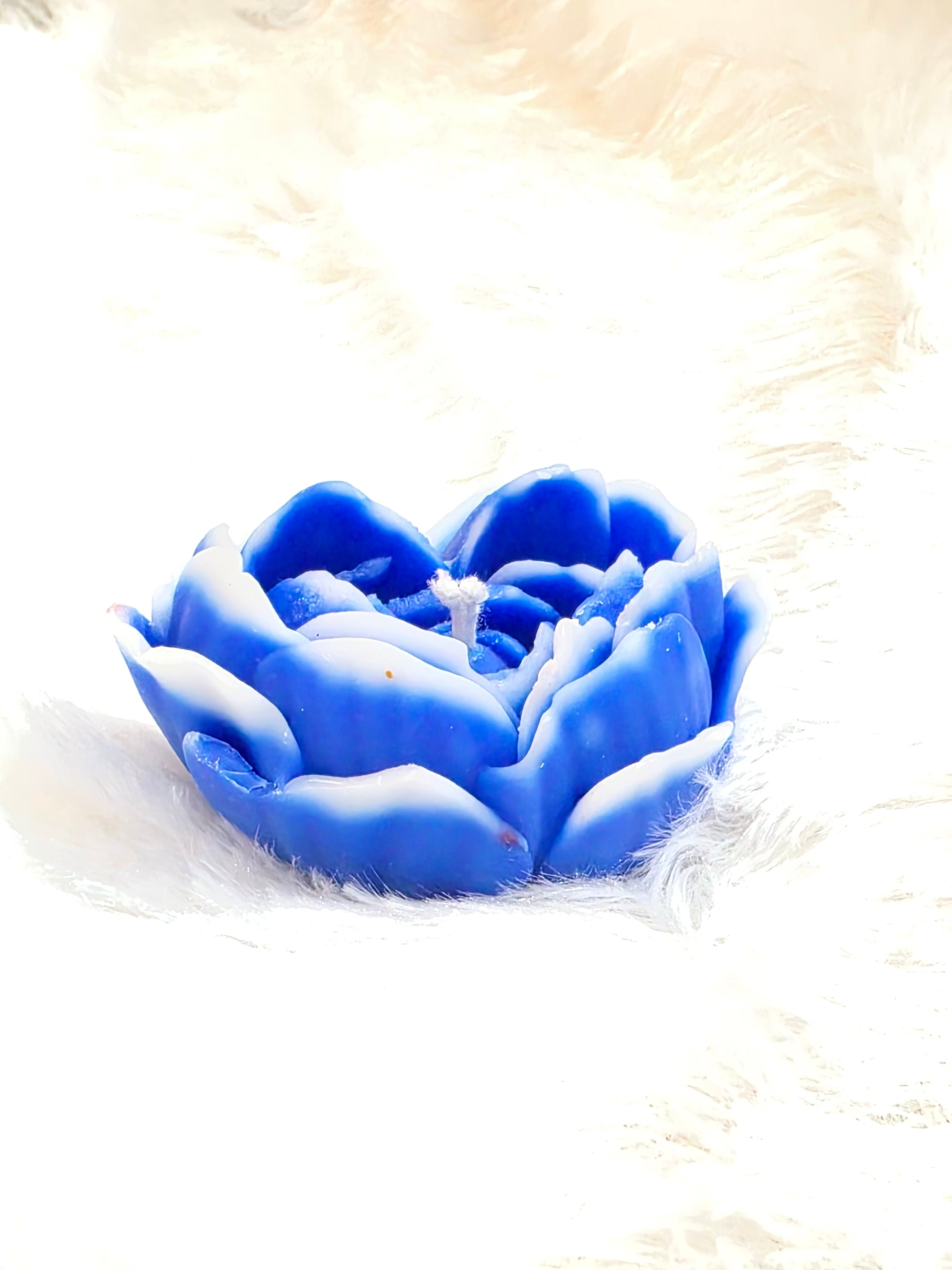 Heart Rose